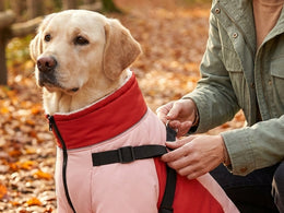 Winter coat sizing guide