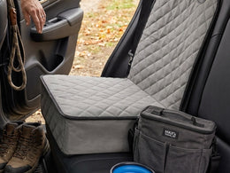 Dog road trip setup guide