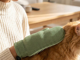 Shedding season guide