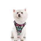 LED no-pull dog harness, photo 4
