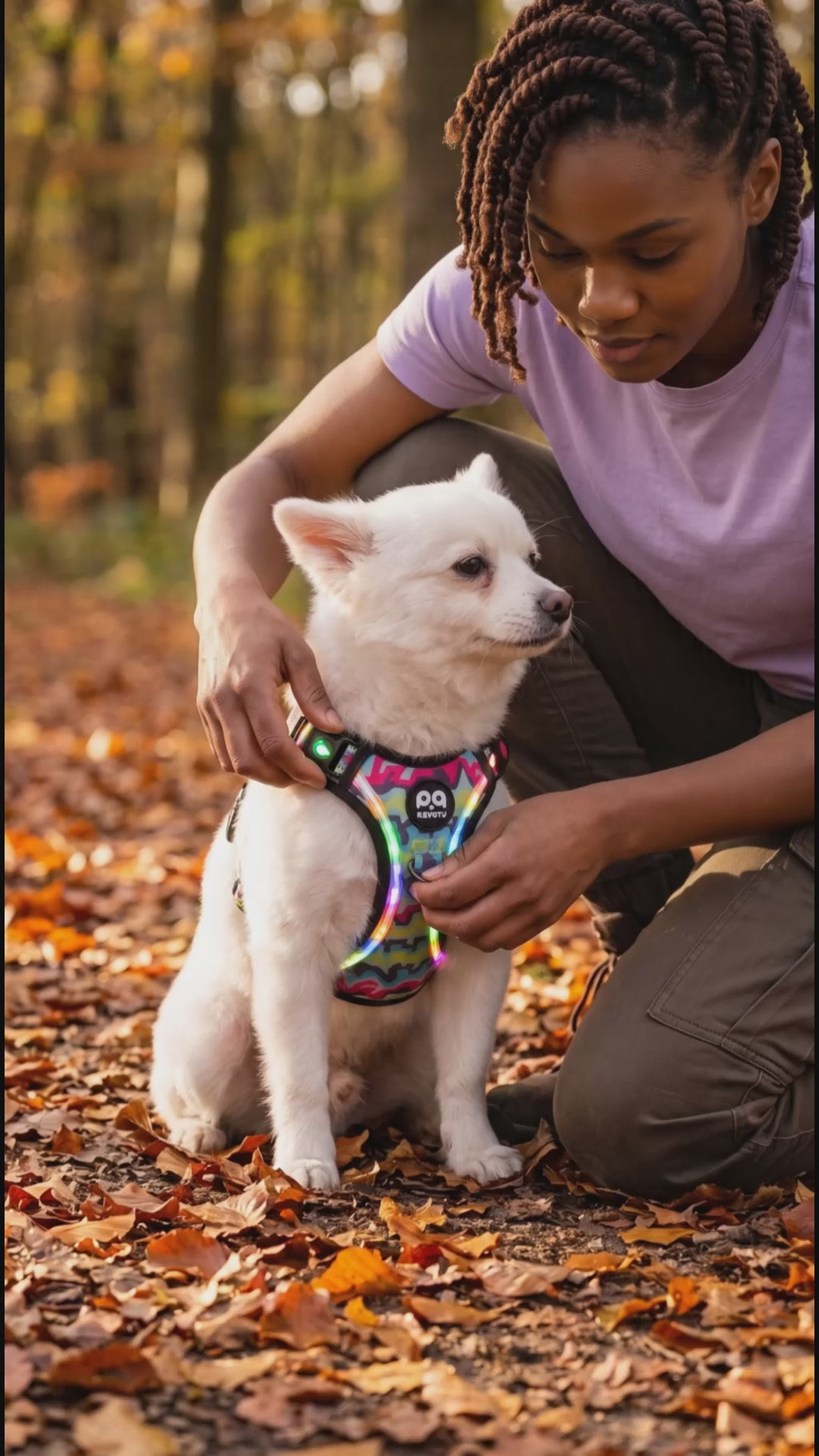 LED No-Pull Dog Harness for Night Walks
