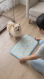 Primary product-use video — Ice Silk dog cooling mat
