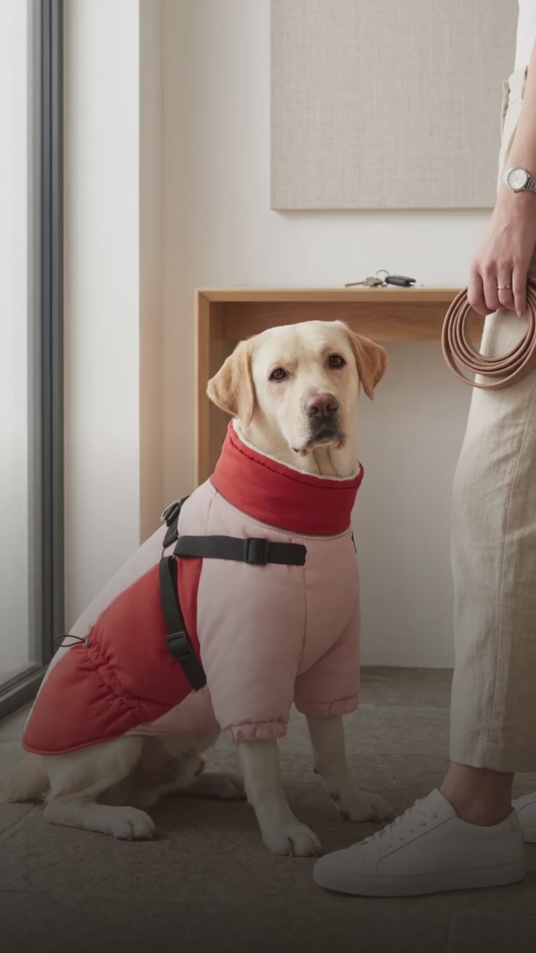 Fleece-Lined Winter Dog Coat with Built-In Harness